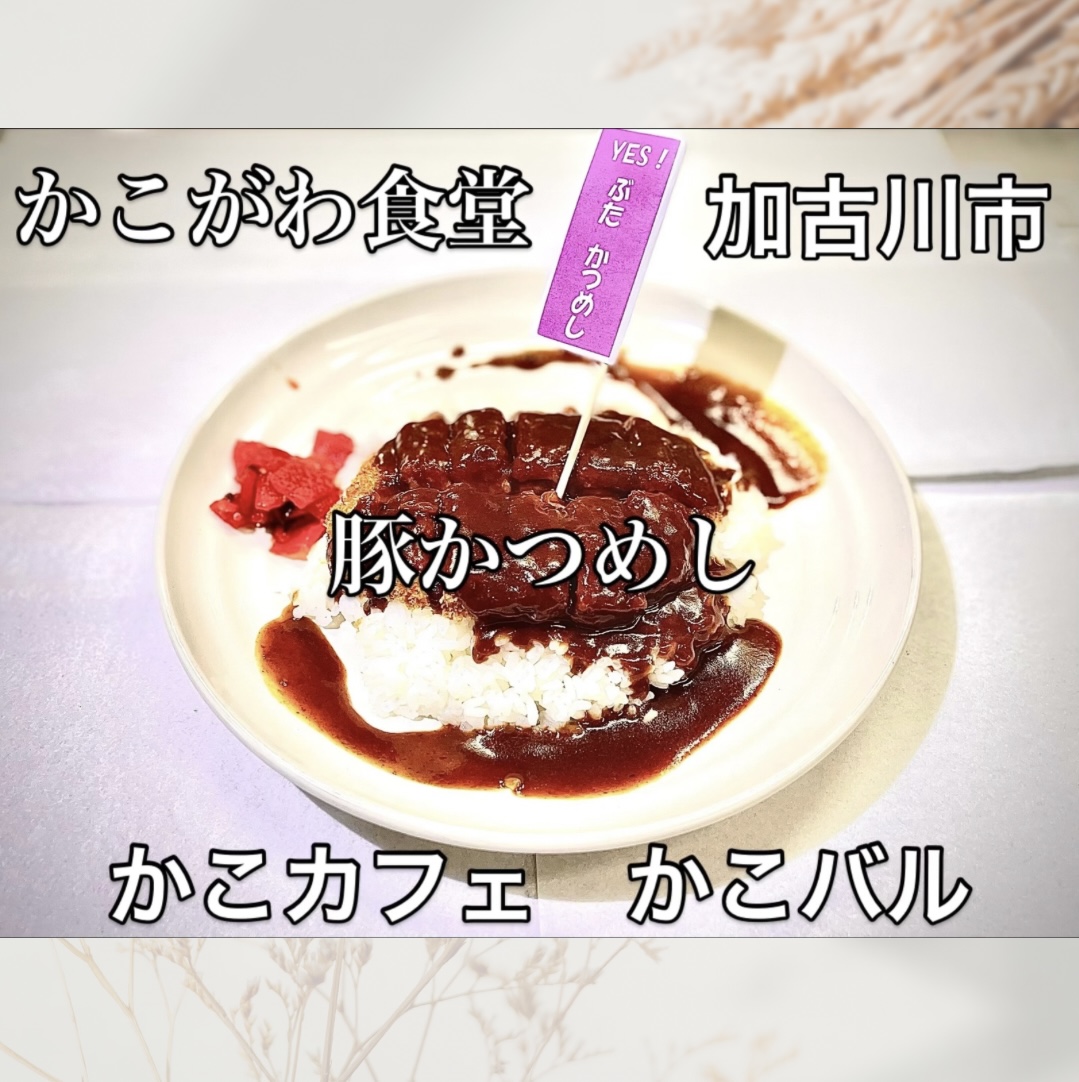 ベージュ ホワイト シンプル 秋 キャンペーン  Instagram 投稿 長方形.jpeg