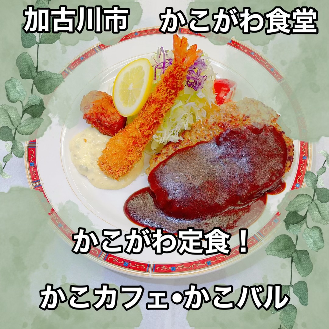 IMG_6970.jpeg