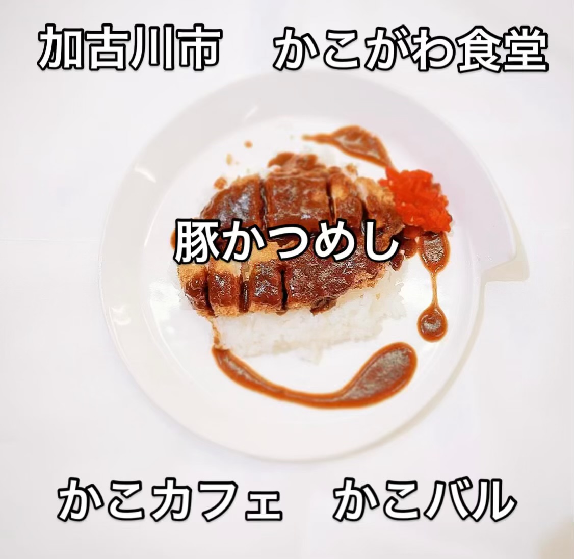 IMG_6575.jpeg